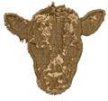 Cow Head